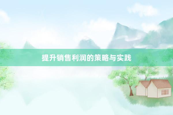 提升销售利润的策略与实践