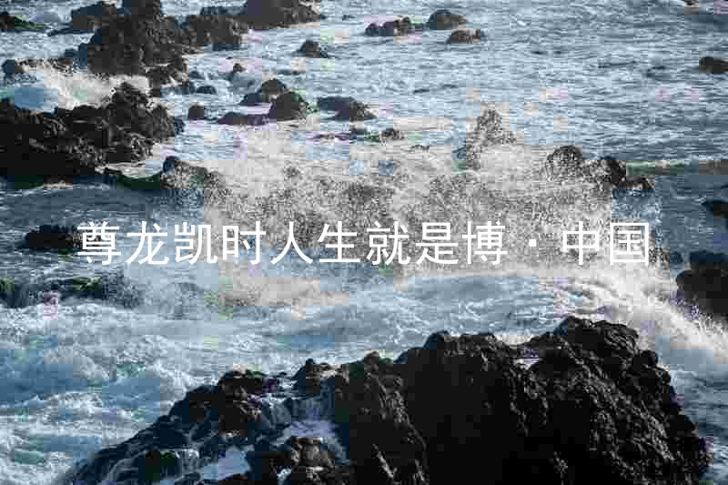 尊龙凯时人生就是博·中国